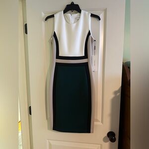 Calvin Klein color block dress